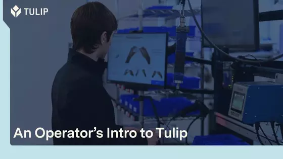 Aperçu produit — Tulip